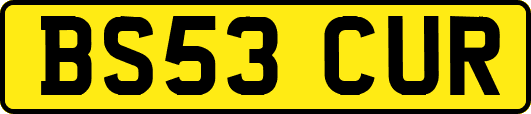 BS53CUR