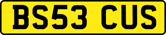 BS53CUS