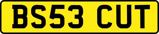 BS53CUT