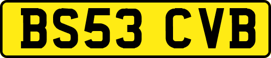 BS53CVB