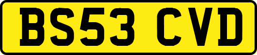 BS53CVD