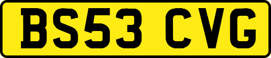 BS53CVG