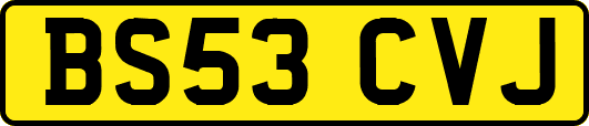 BS53CVJ