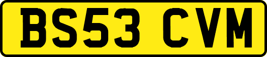 BS53CVM