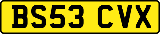 BS53CVX