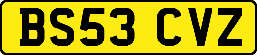 BS53CVZ