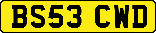 BS53CWD