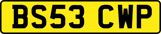 BS53CWP