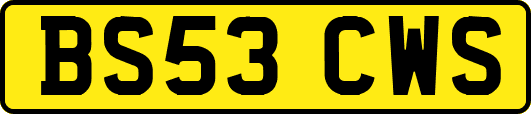 BS53CWS