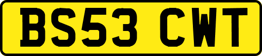 BS53CWT