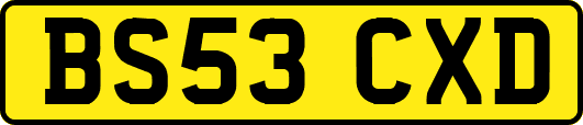 BS53CXD