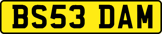 BS53DAM