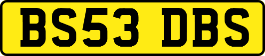 BS53DBS