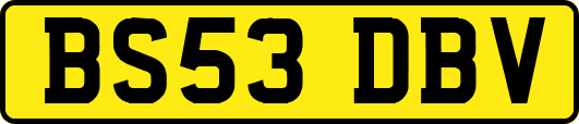 BS53DBV