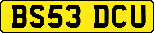 BS53DCU
