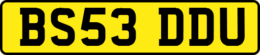 BS53DDU