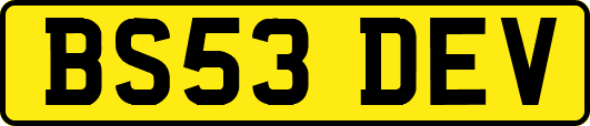 BS53DEV