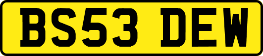 BS53DEW
