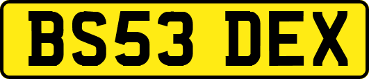 BS53DEX
