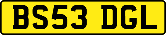 BS53DGL