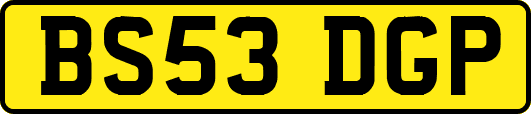 BS53DGP