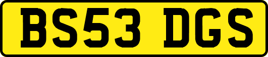 BS53DGS