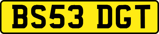 BS53DGT