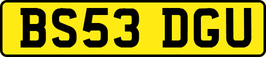 BS53DGU