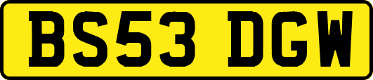 BS53DGW