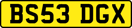 BS53DGX