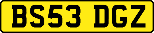 BS53DGZ