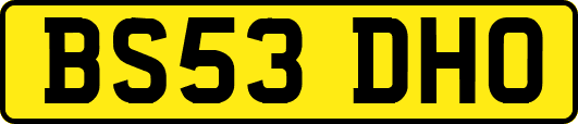 BS53DHO