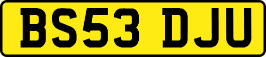 BS53DJU