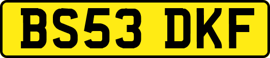 BS53DKF