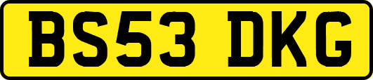 BS53DKG