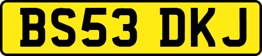 BS53DKJ