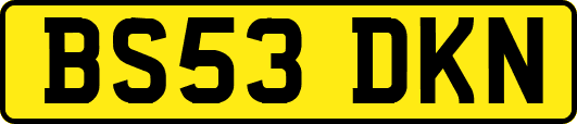 BS53DKN