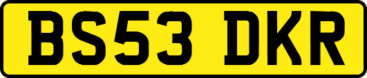 BS53DKR