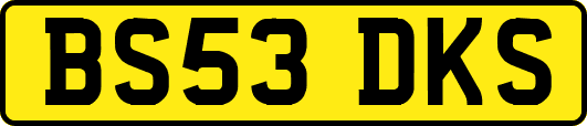 BS53DKS