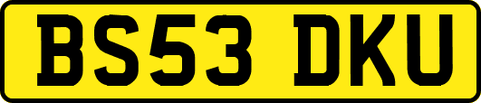 BS53DKU