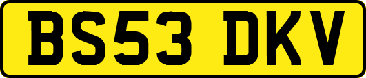 BS53DKV