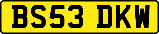 BS53DKW