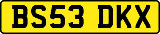 BS53DKX