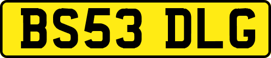 BS53DLG
