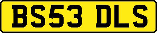 BS53DLS