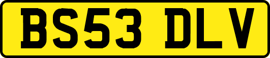 BS53DLV