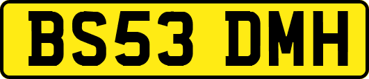 BS53DMH