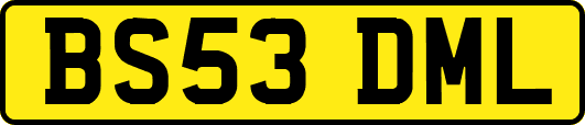 BS53DML