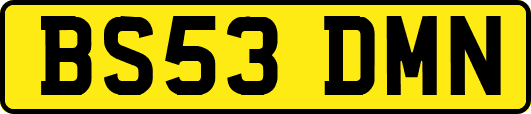 BS53DMN