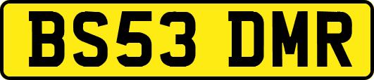 BS53DMR